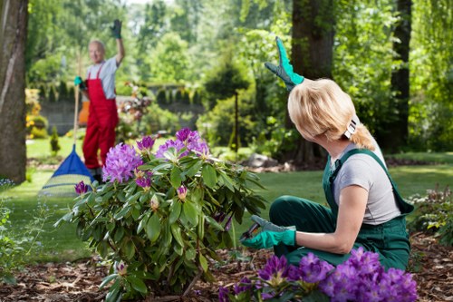 Professional lawn mowing service in Neasden