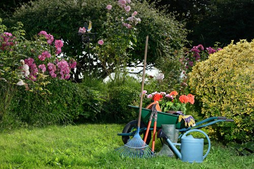 Professional lawn mowing service in Neasden