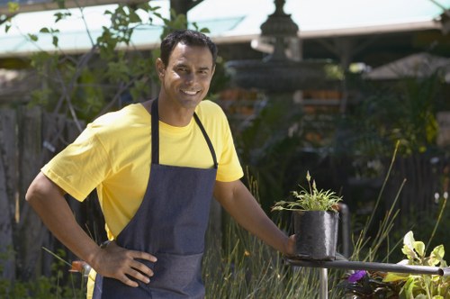Professional lawn mowing service in Neasden