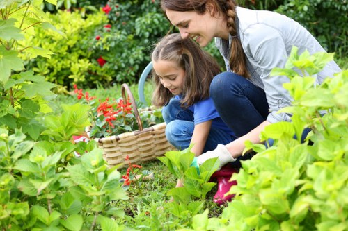 Eco-friendly lawn mowing practices in Neasden