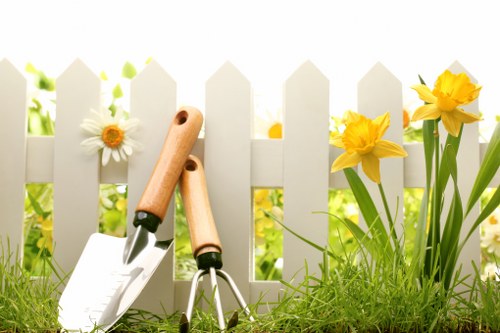 Expert team providing comprehensive lawn care in Neasden