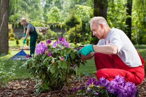 Gardener pruning shrubs in Neasden garden