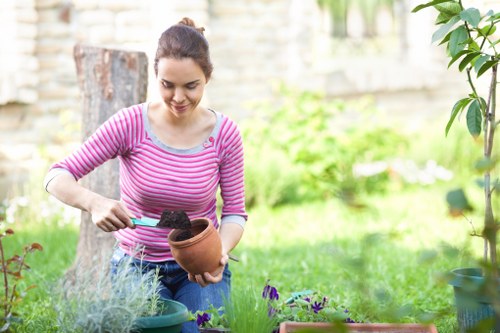 Pest control solutions in a Neasden garden