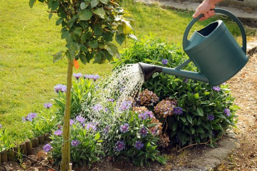 Professional landscaping benefits