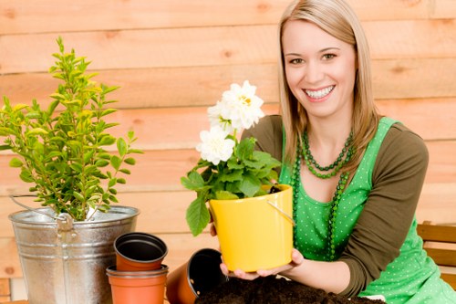 Sustainable landscaping in Neasden