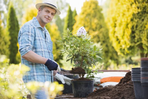 Eco-friendly garden clearance practices in Neasden