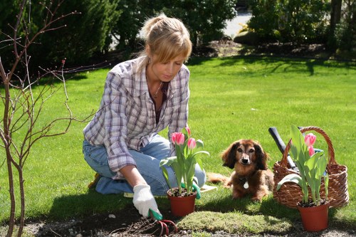 Eco-friendly sustainable garden practices in Neasden