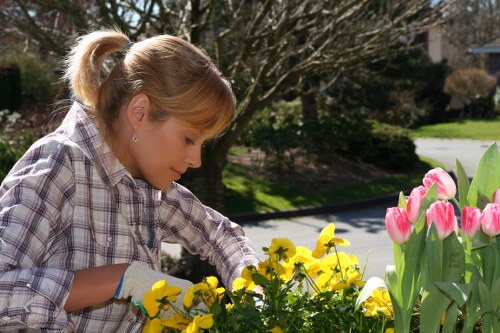 Expert lawn care equipment used in Neasden