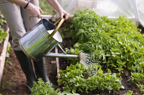Choosing the right landscaping service