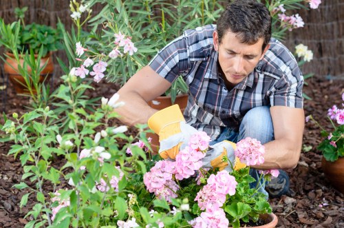 Sustainable lawn maintenance practices by Lawn Mowing Neasden