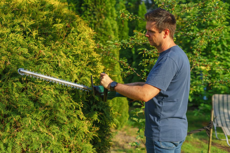 A man with short brown hair, wearing a navy blue t-shirt and jeans, is engaged in garden maintenance by trimming a dense, green hedge with a handheld electric hedge trimmer. The hedge, composed of lus